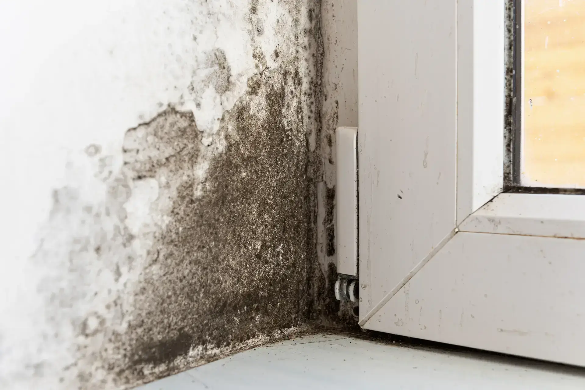 water damage restoration in Wakefield, MA